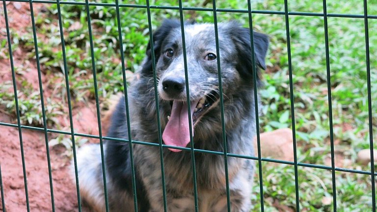 STUDIO Privado COM AR próx Shopping+Universidades