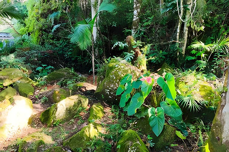 Casa Ecológica com PiSCiNAS super PrivAtiva