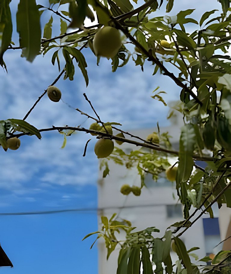 Varanda do Pessegueiro - Casa 100m da Prainha-SFS