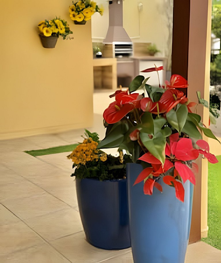 Varanda do Pessegueiro - Casa 100m da Prainha-SFS